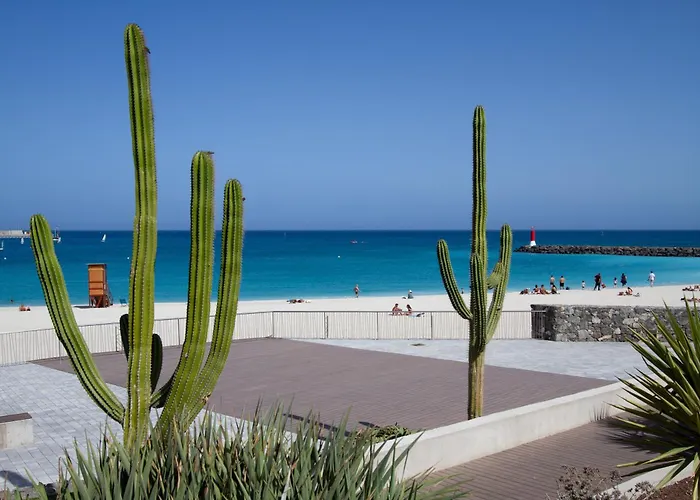 Atlantic Loft Appartamento